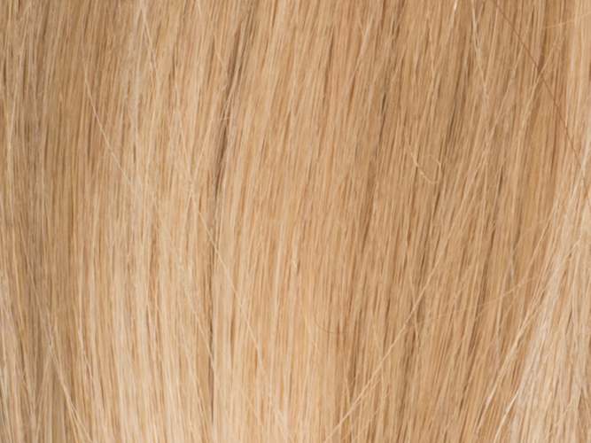 Poze Standard Clip & Go Hair Extensions - 125g Glam Blonde 10B/11N - 50cm