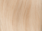 Poze Standard Clip & Go Hair Extensions - 125g Platinum 12NA - 40cm