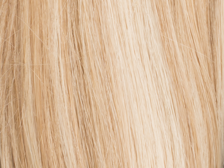 Poze Premium Hair Weft - 110g Sunkissed Beige 12NA/10B - 50cm