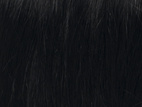 Poze Standard Hairweft - 110g Midnight Black 1N - 60cm