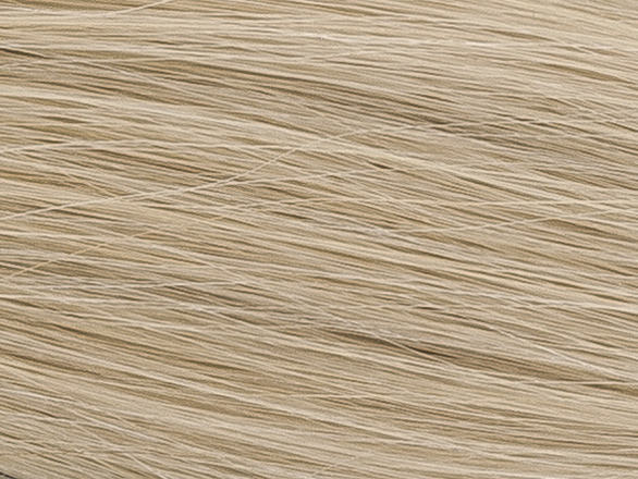 Poze Standard Clip & Go Hair Extensions - 125g Ash Blonde 10NV - 40cm